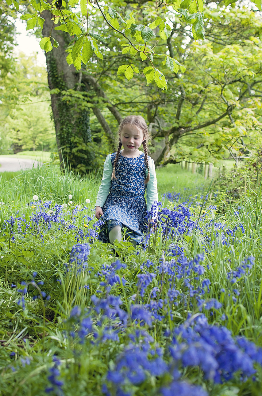 Collette Creative Photography - Collette Dobson, Collette O'Neill - Bluebell Walk at Catle Ward, National Trust, Downpatrick, Northern Ireland