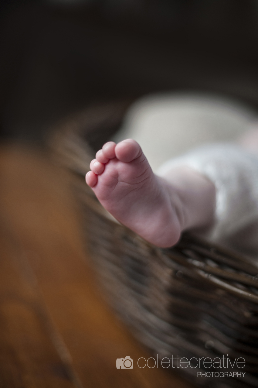 Collette O'Neill - Collette Creative Photograpy, Belfast Northern Ireland - Newborn and family photography