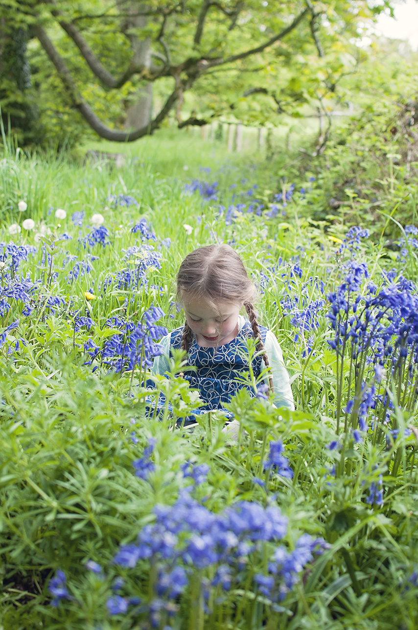 Collette Creative Photography - Collette Dobson, Collette O'Neill - Bluebell Walk at Catle Ward, National Trust, Downpatrick, Northern Ireland