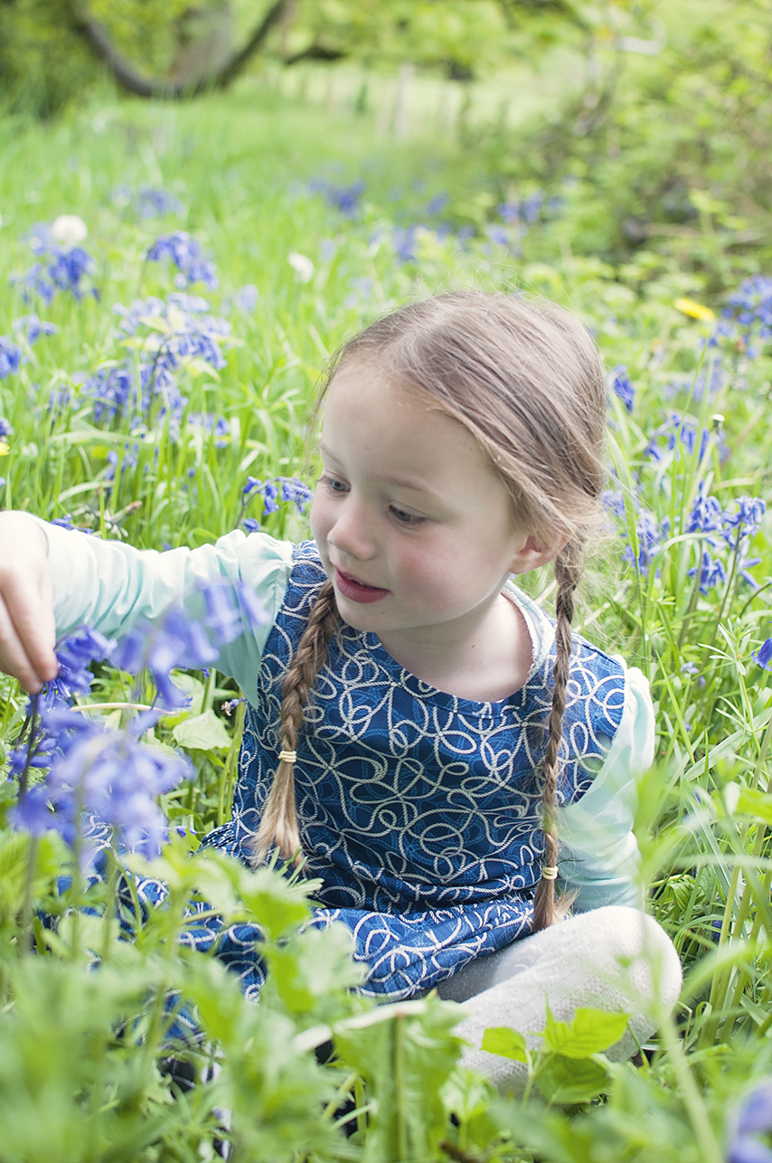 Collette Creative Photography - Collette Dobson, Collette O'Neill - Bluebell Walk at Catle Ward, National Trust, Downpatrick, Northern Ireland