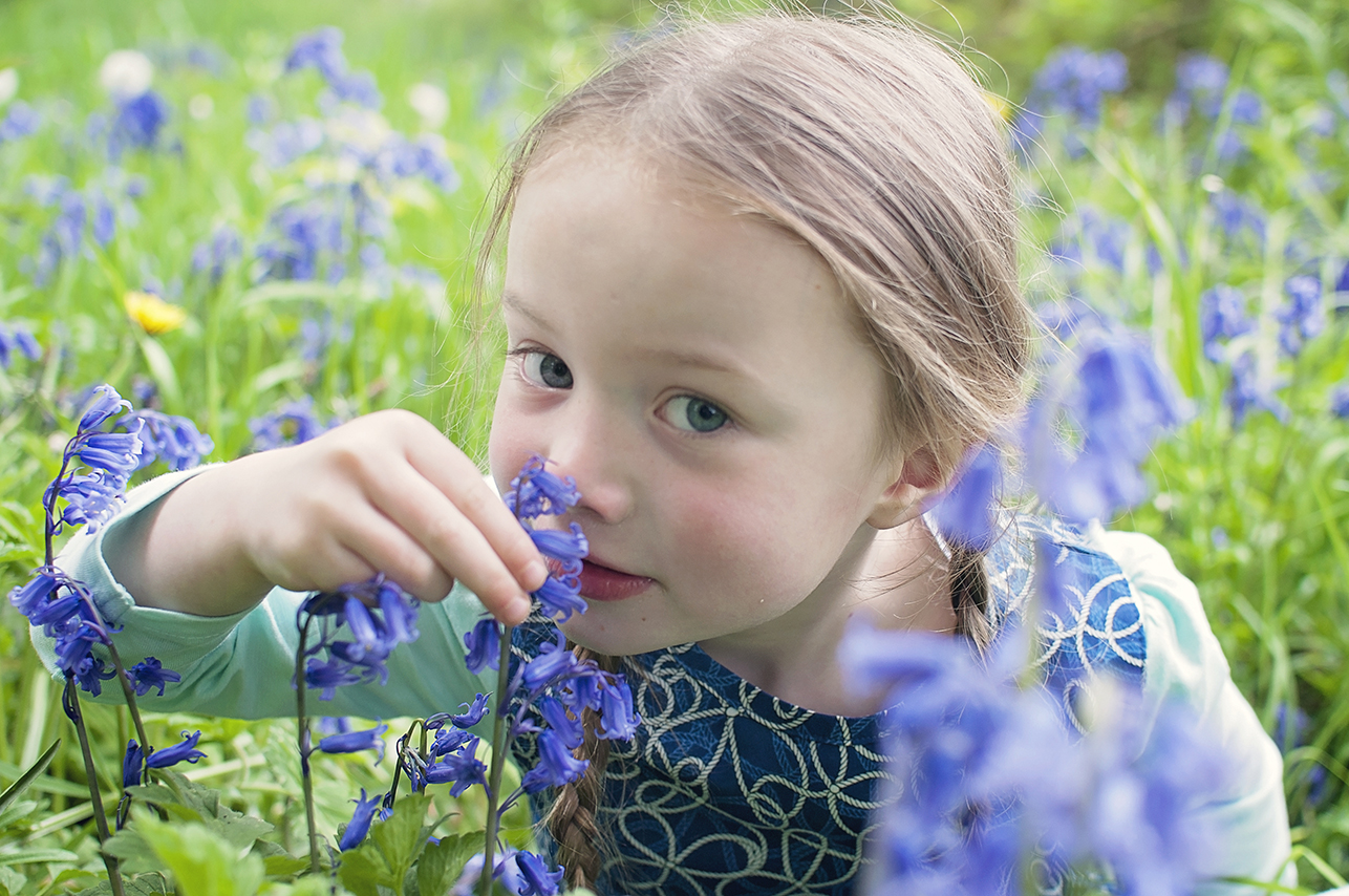 Collette Creative Photography - Collette Dobson, Collette O'Neill - Bluebell Walk at Catle Ward, National Trust, Downpatrick, Northern Ireland