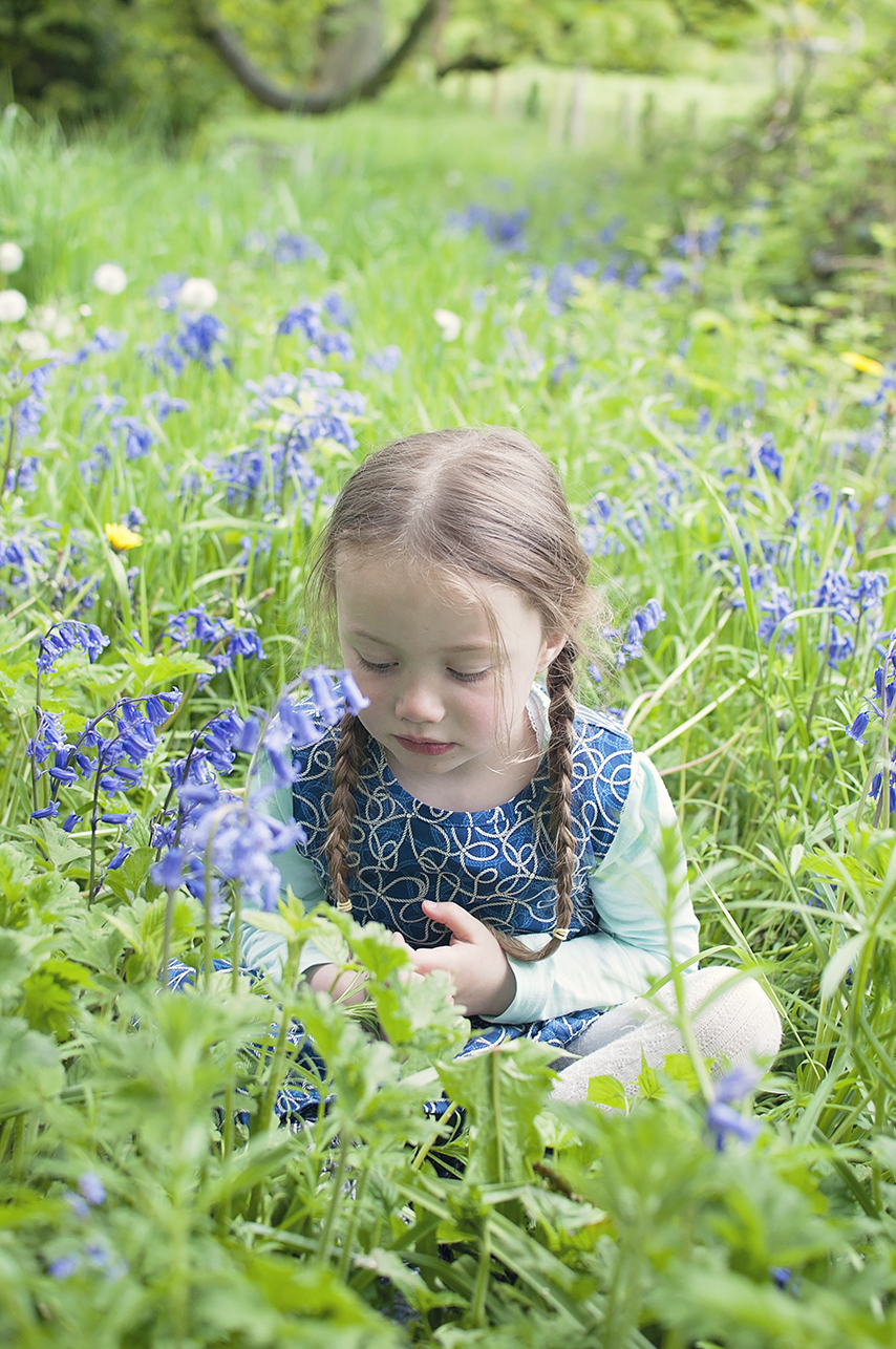 Collette Creative Photography - Collette Dobson, Collette O'Neill - Bluebell Walk at Catle Ward, National Trust, Downpatrick, Northern Ireland