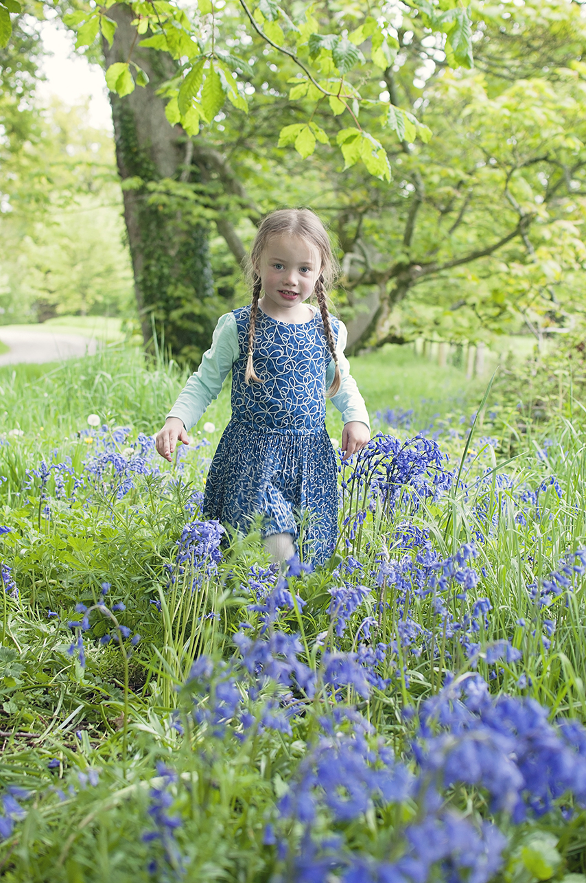 Collette Creative Photography - Collette Dobson, Collette O'Neill - Bluebell Walk at Catle Ward, National Trust, Downpatrick, Northern Ireland