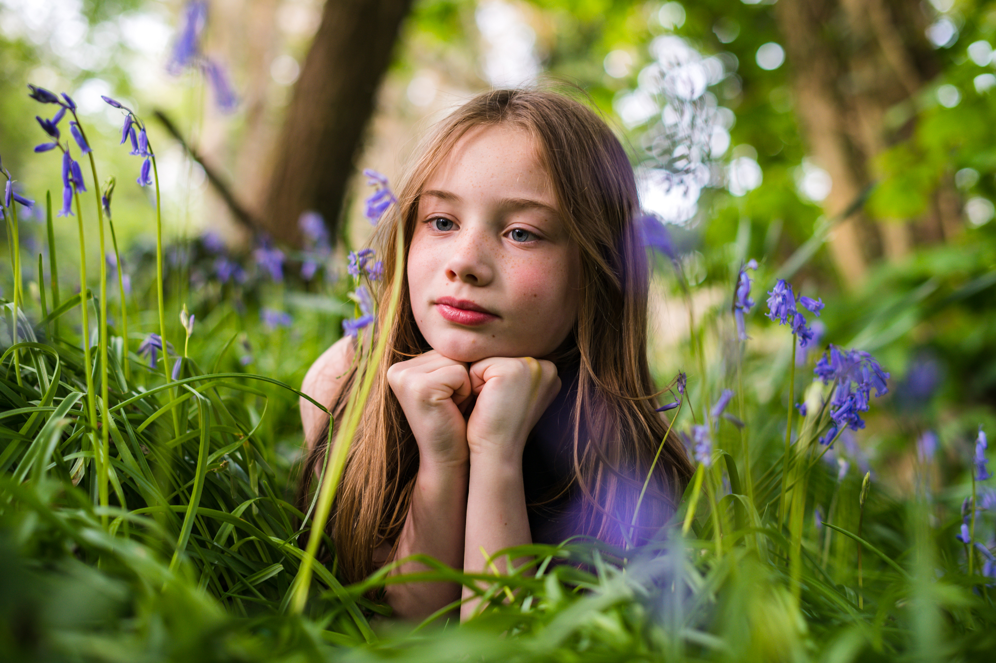 Bluebells