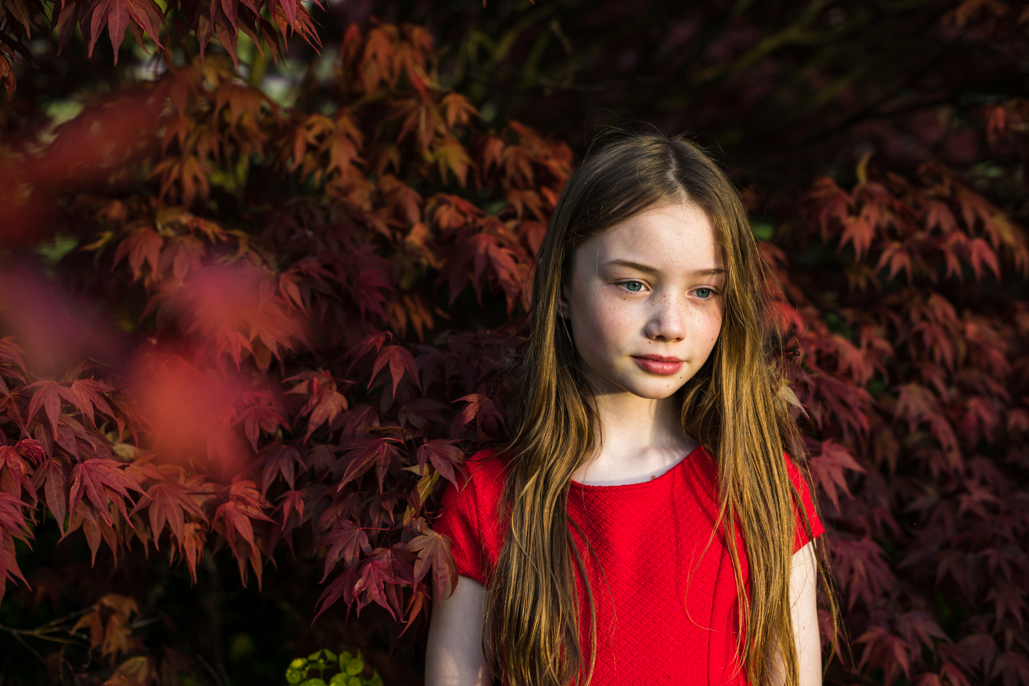 Little Lady in Red