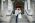 Collette Creative Photography, Belfast, Wedding, City Hall Belfast, Northern Ireland